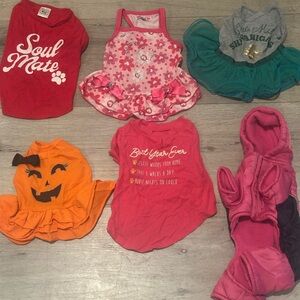 Colorful Puppy Dog clothes.